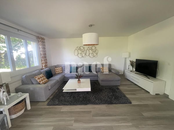 Belle villa individuelle entièrement rénovée de 5.5 pièces avec grand jardin 6