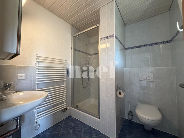 Duplex de 4.5 pièces Cadre paisible à deux pas du lac Bail à durée déterminée (1 an) 10