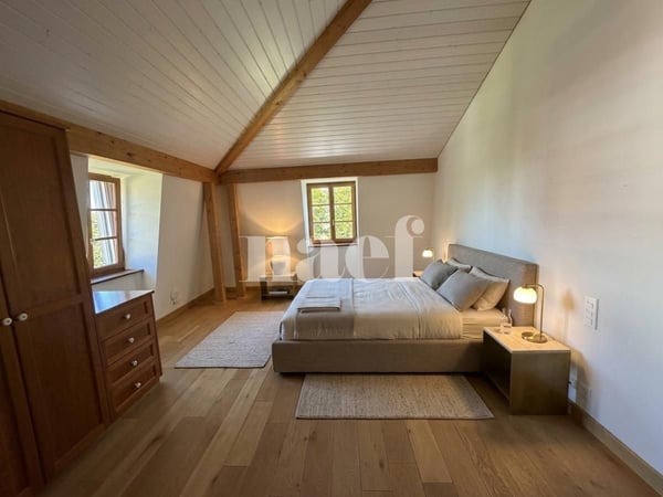 Magnifique propriété individuelle avec dépendances et un beau jardin arboré avec jacuzzi 7