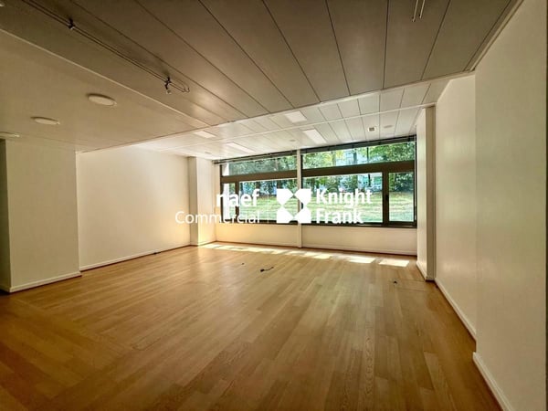 Arcade / Bureaux d'env 206 m² avec 4 parkings - Champel / Genève 4