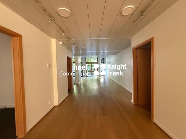 Arcade / Bureaux d'env 206 m² avec 4 parkings - Champel / Genève 8