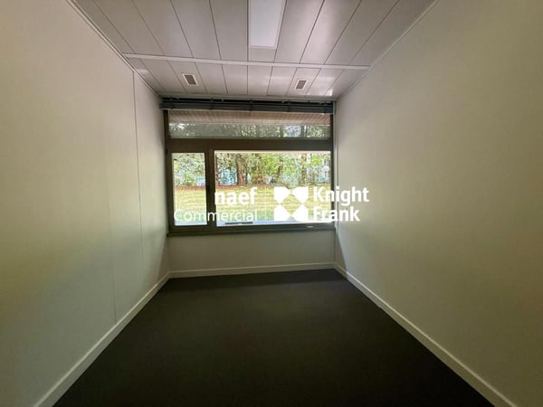 Arcade / Bureaux d'env 206 m² avec 4 parkings - Champel / Genève 7