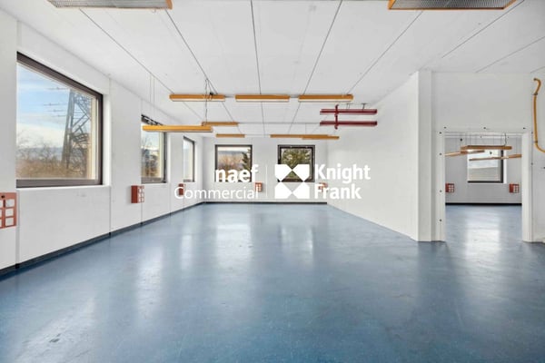 Surface de 430 m² en zone industrielle ZIMEYSA de Meyrin 8