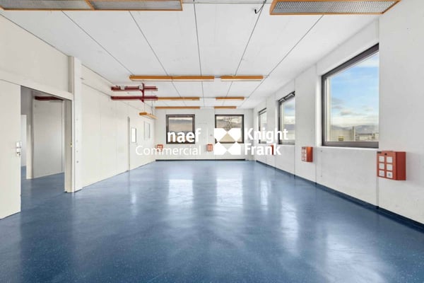 Surface de 430 m² en zone industrielle ZIMEYSA de Meyrin 4