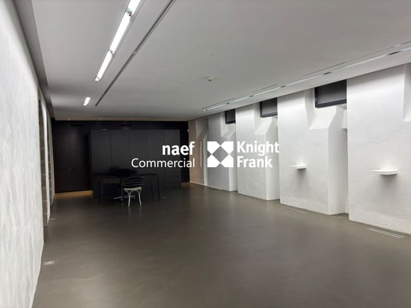 Arcade/ galerie d'exception : Place des Casemates 5 11