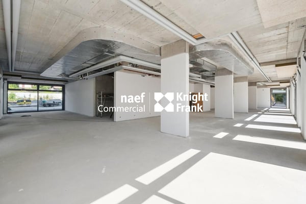 Arcade d'env 480 m² à louer - Petit-Saconnex 4