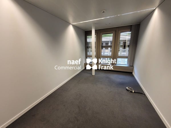 Malagnou - Bureau de 485 m² au rez-supérieur 7