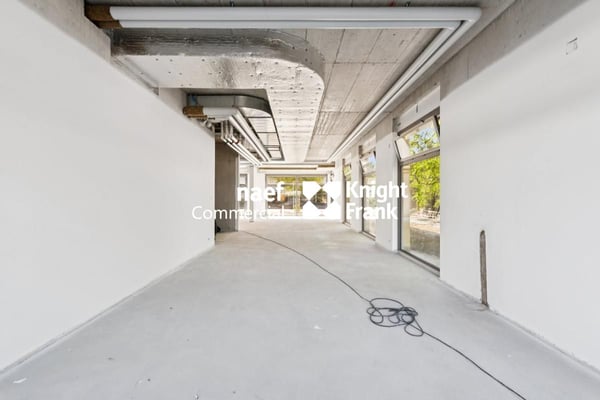 Arcade d'env 230 m² à louer - Petit-Saconnex 3