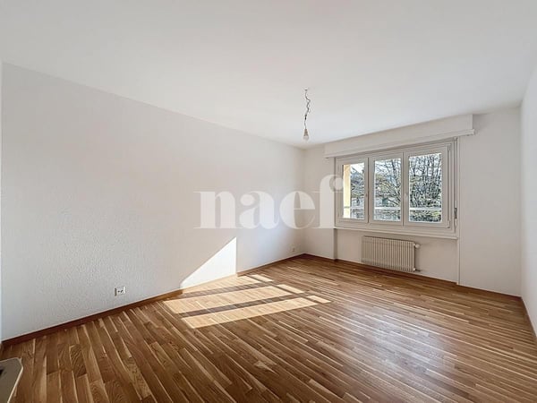 Spacieux logement rénové 5