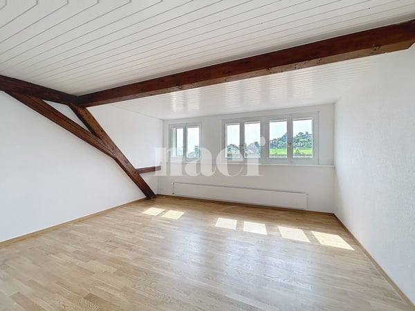 Appartement de 6 pièces dans les combles 3