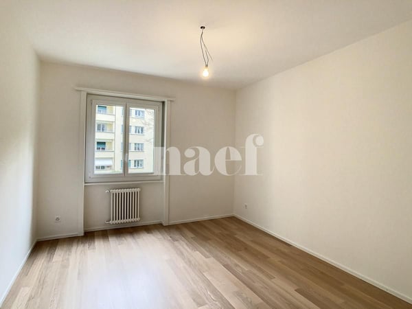 Bel appartement de 1.5 pièces au rez-de-chausée 3
