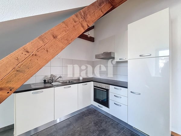 Appartement charmant de 2.5 pces aux combles 4