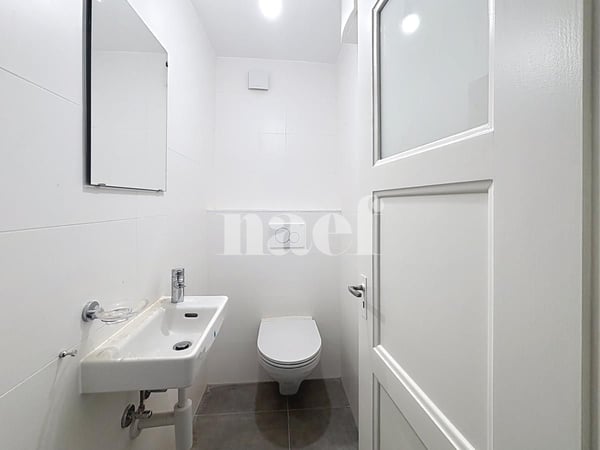 Appartement entièrement rénové avec cachet 6