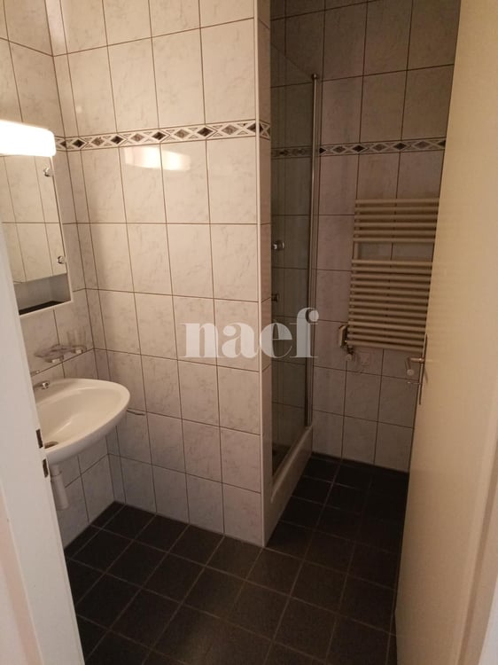 Bel appartement dans le quartier de Malagnou 7