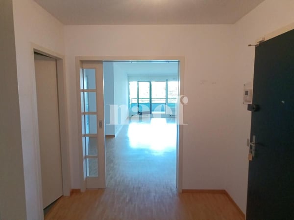 Bel appartement dans le quartier de Malagnou 2