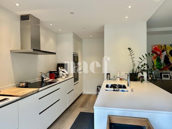 Beau duplex en souplex de 1 pièces avec terrasses et jardin privatif 5