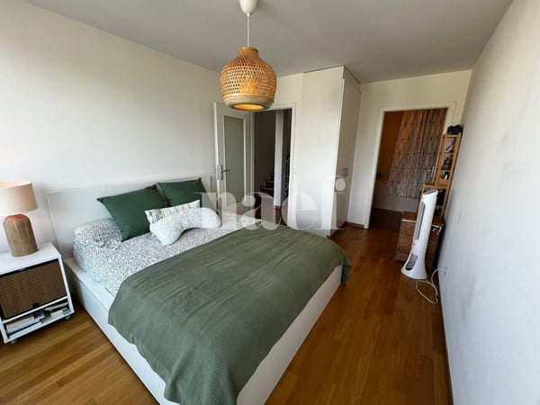 Duplex de 4.5 pièces avec vue sur le Salève 6