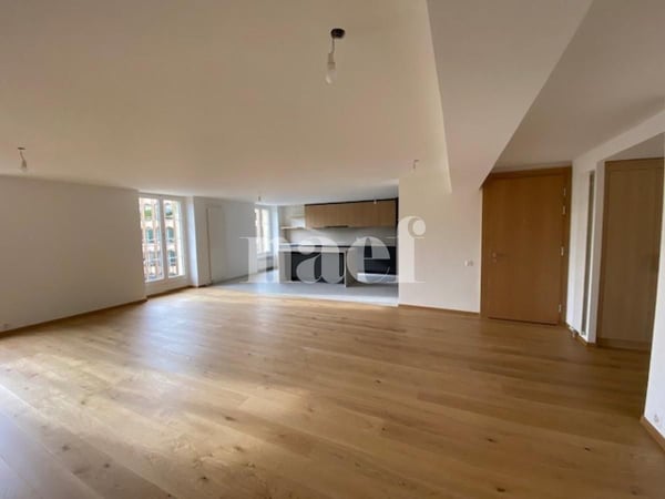 Superbe appartement de standing entièrement rénové 2