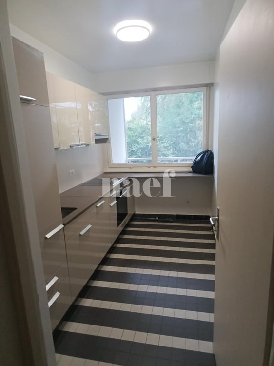 Appartement 4 pièces proche du parc Bertrand 3