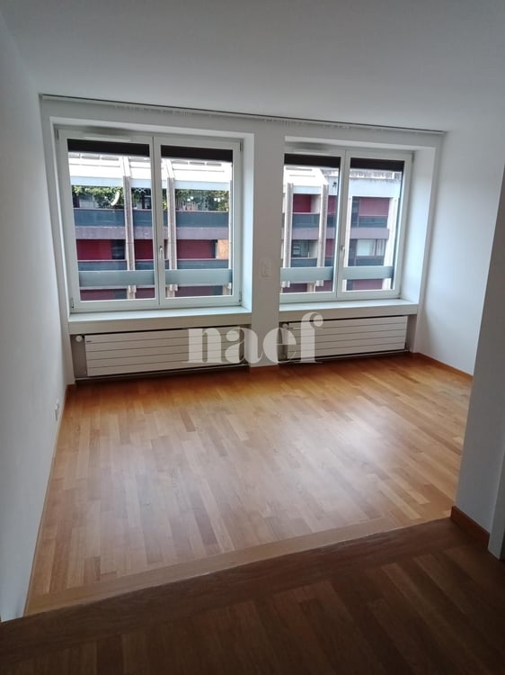 Duplex de 2 pièces près de la gare de Genève 5