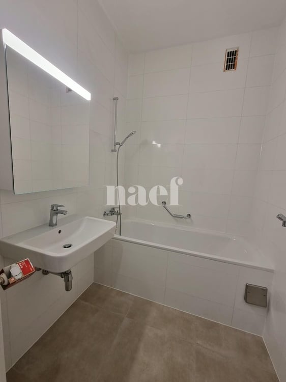 Appartement de 3 pièces entièrement rénové 4