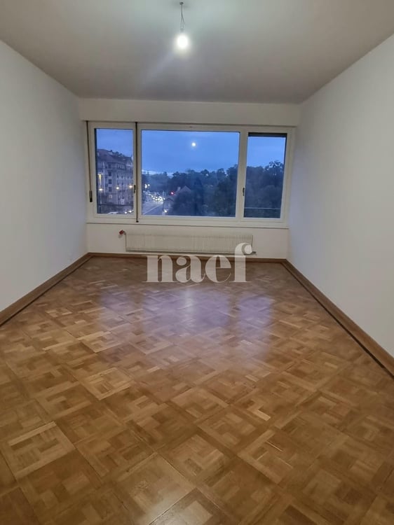 Appartement de 3 pièces entièrement rénové 3