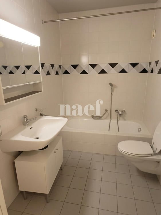 Appartement à proximité de la gare des Eaux-Vives 7