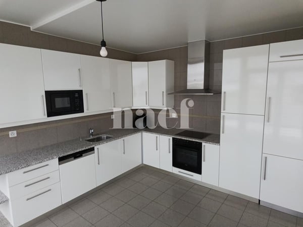 Appartement avec grande terrasse à Champel 3