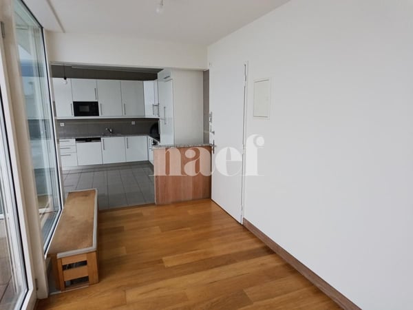 Appartement avec grande terrasse à Champel 2