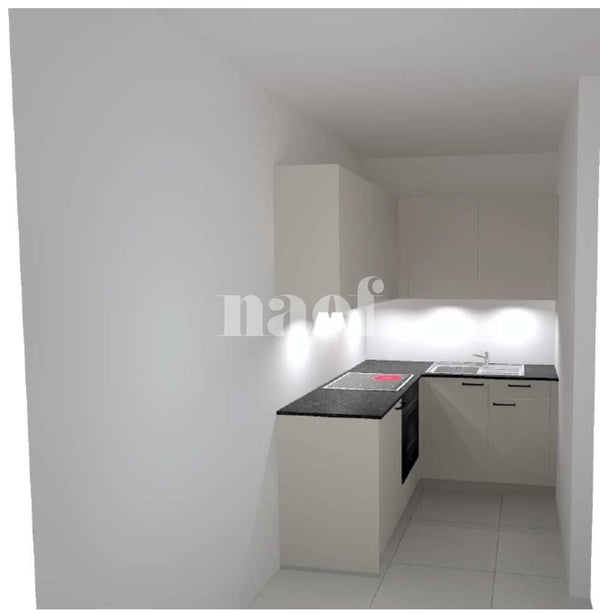 Appartement de 2 pièces entièrement rénové à proximité de la gare de Genève 2