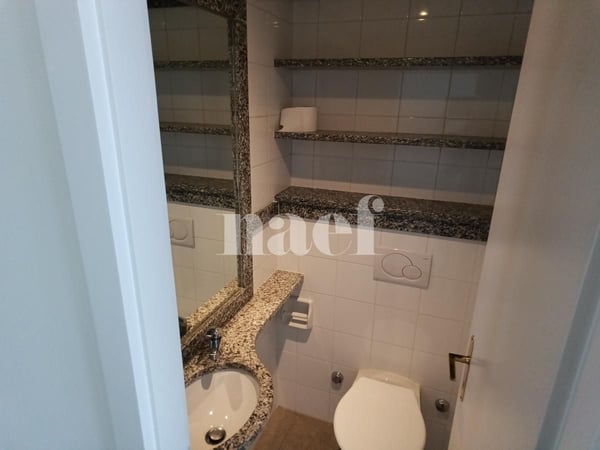 Appartement avec grande terrasse à Champel 9