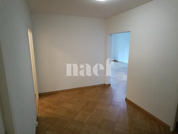 Grand appartement avec balcons ! 3