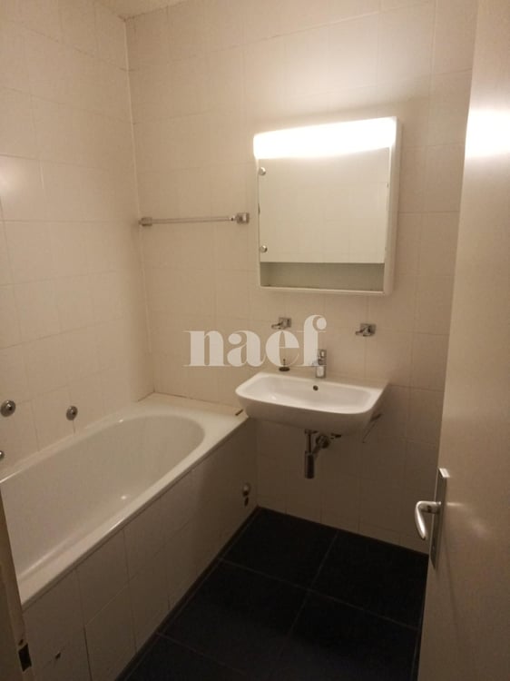 Grand appartement avec balcons ! 8