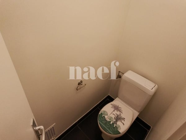Grand appartement avec balcons ! 9