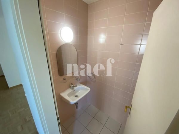 Appartement 3 pièces avec grand balcon à Carouge 10