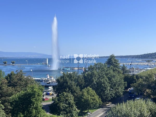 Appartement de charme - entièrement rénové - dans l'hypercentre avec vue jet d'eau 1