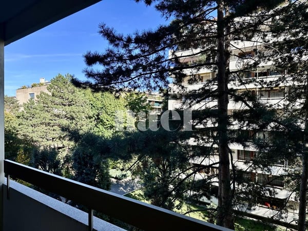 Appartement de 3 pièces avec parking intérieur à Champel 5