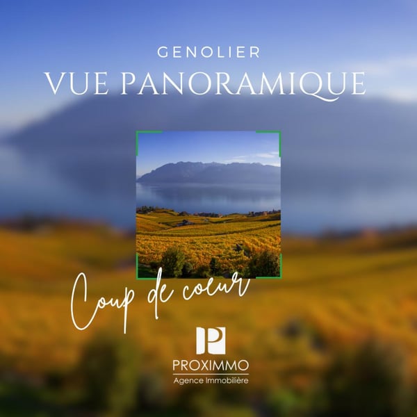 Vue spectaculaire et confort moderne à Genolier 13