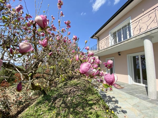 MAGNIFIQUE PROPRIETE PROCHE DE LAUSANNE 3