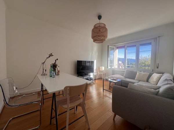 UN BIEN LUMINEUX ET RENOVE! 2