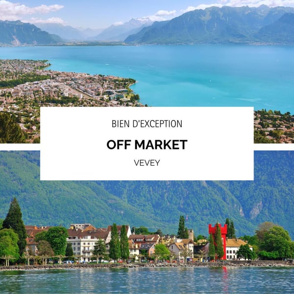 Villa d'exception dans la région de Vevey 11