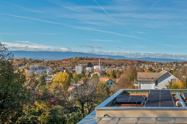 TOUT JUSTE LIVRÉES SUR LES HAUTS DE CHAILLY 3