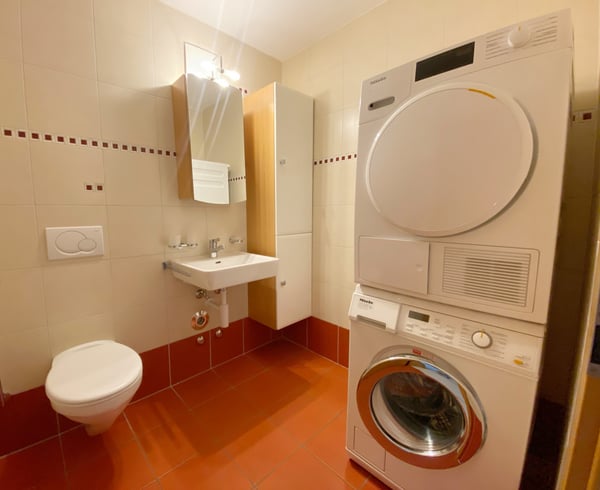 APPARTEMENT ATTIQUE AVEC TERRASSE IDEALEMENT SITUE A ORBE ! 12