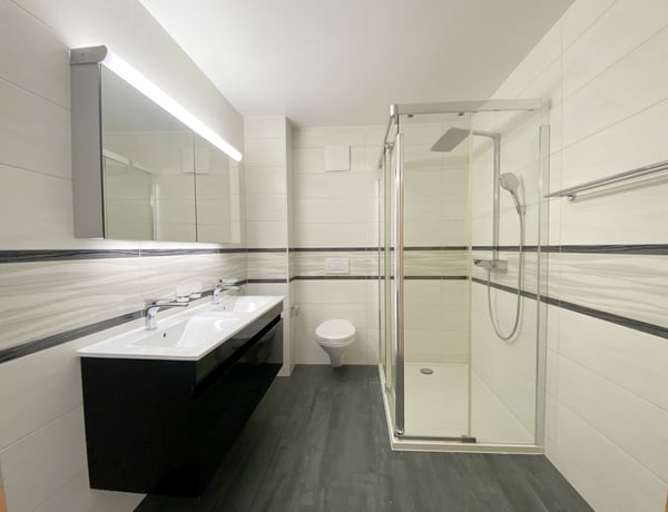 APPARTEMENT ATTIQUE AVEC TERRASSE IDEALEMENT SITUE A ORBE ! 8