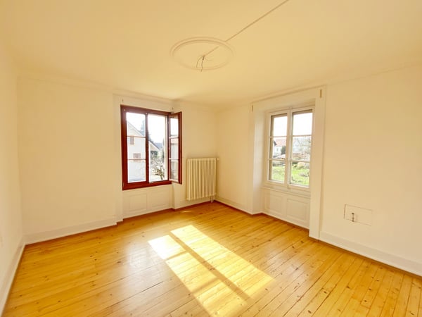 VILLA LOCATIVE DE DEUX APPARTEMENTS A CONCISE ! 6