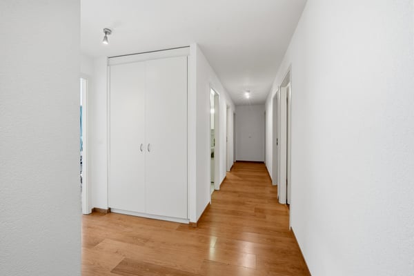 À DEUX PAS DES RIVES - SPACIEUX ATTIQUE AVEC BALCON ET VUE LAC 3