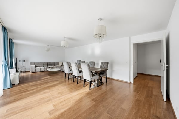 À DEUX PAS DES RIVES - SPACIEUX ATTIQUE AVEC BALCON ET VUE LAC 4