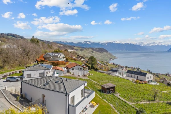 Superbe attique avec vue panoramique 2