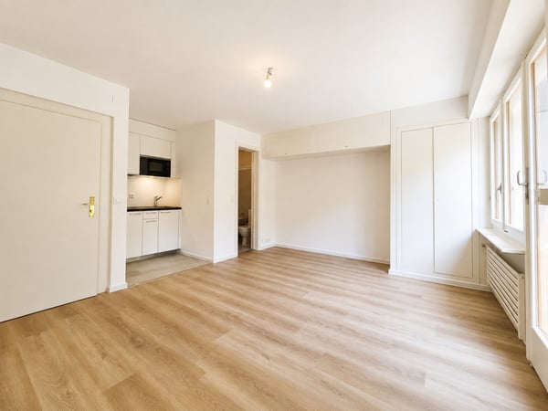 Studio refait à neuf à deux pas du lac et de la gare! 3