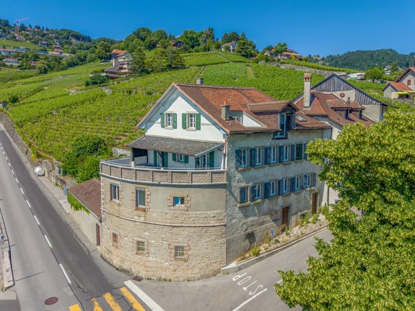Ensemble historique à réinventer au coeur du Lavaux 5